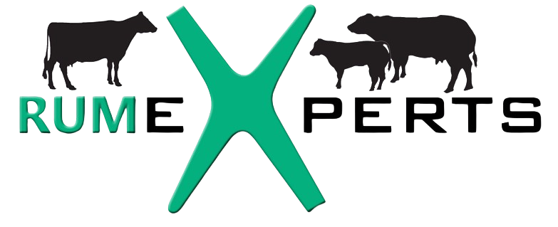Rumexperts Shop